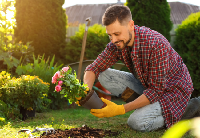 The Connection Between Hip & Knee Pain